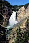 [Lower Yellowstone Falls]